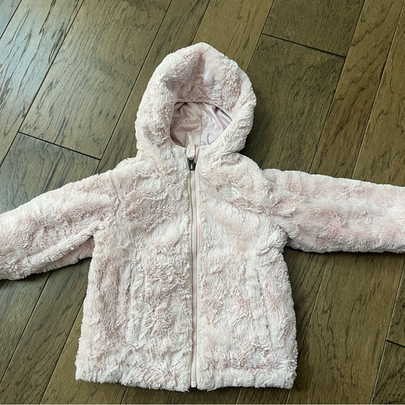 The North Face Kids Pink Jacket size 2T - Picture 6 of 9